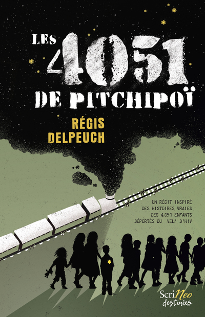4051 DE PITCHIPOI