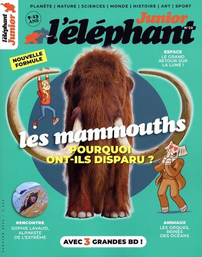 ELEPHANT JUNIOR - N 20