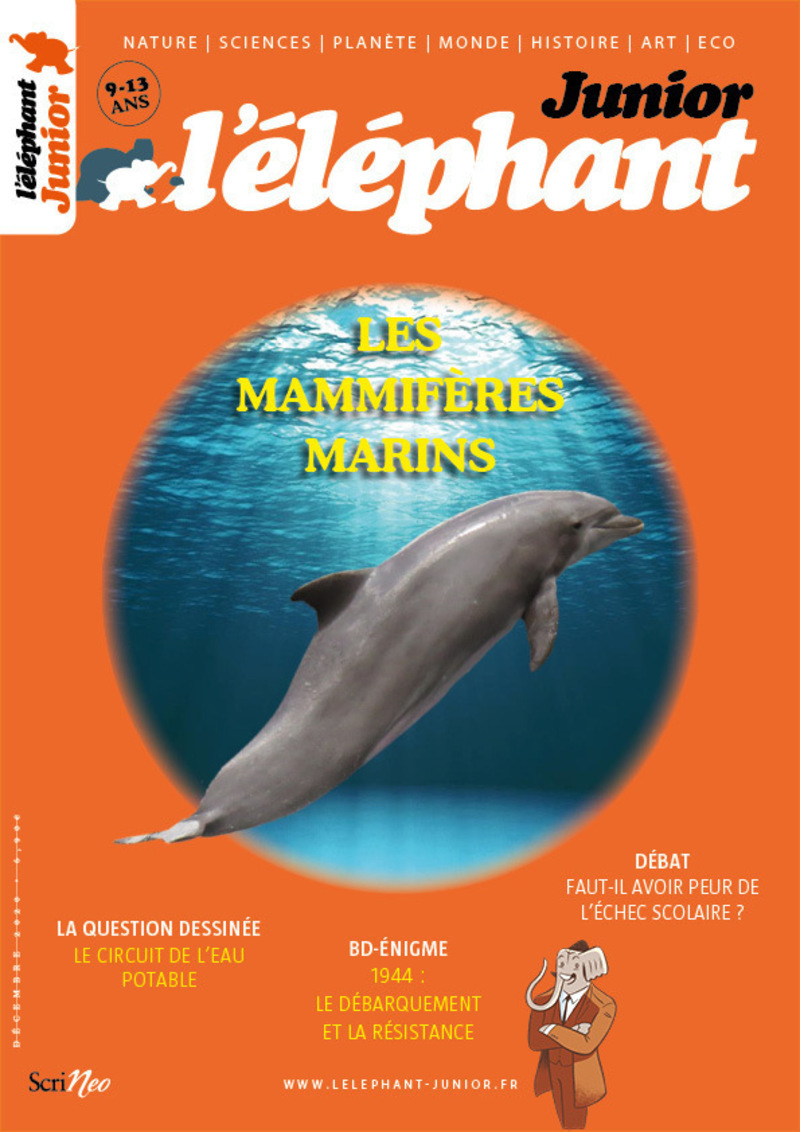 ELEPHANT JUNIOR - N 22
