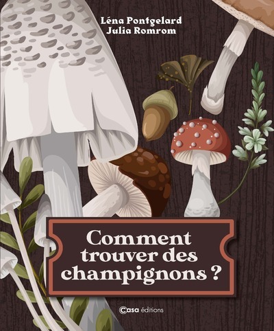 COMMENT TROUVER DES CHAMPIGNONS ?