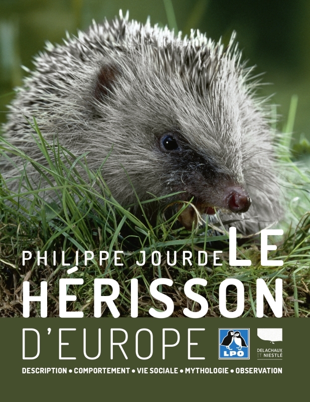 HERISSON D´EUROPE