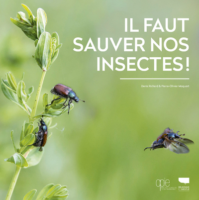 IL FAUT SAUVER NOS INSECTES !