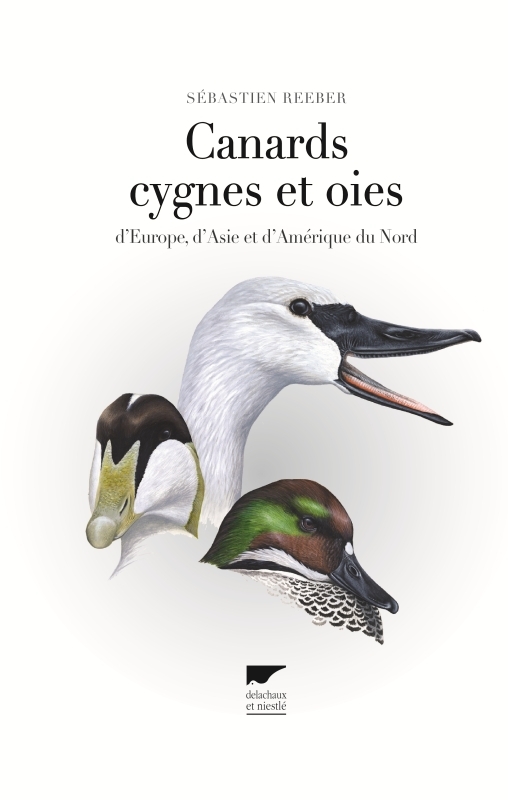 CANARDS, CYGNES ET OIES. D´EUROPE, D´ASIE ET D´AMERIQUE DU NORD