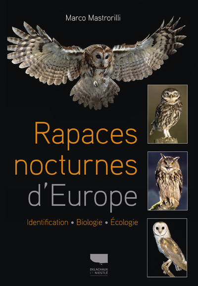 RAPACES NOCTURNES D´EUROPE - IDENTIFICATION, BIOLOGIE, ECOLOGIE