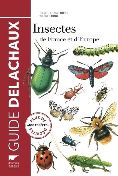INSECTES DE FRANCE ET D´EUROPE