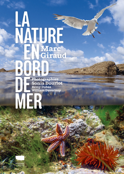 NATURE EN BORD DE MER