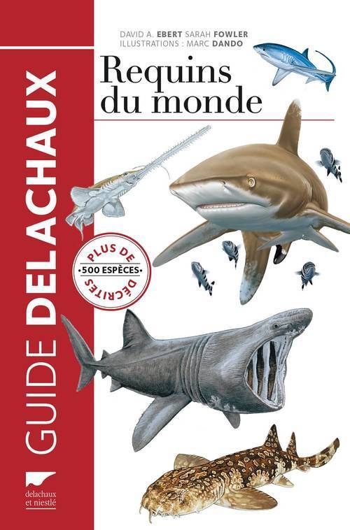 REQUINS DU MONDE. PLUS DE 500 ESPECES DECRITES