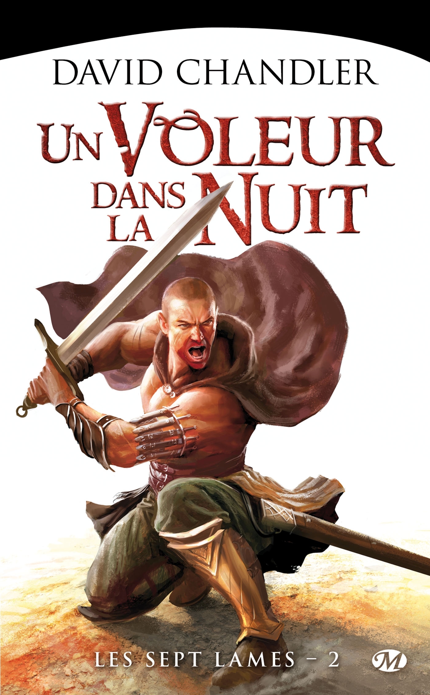 SEPTS LAMES, T2 : UN VOLEUR DANS LA NUIT