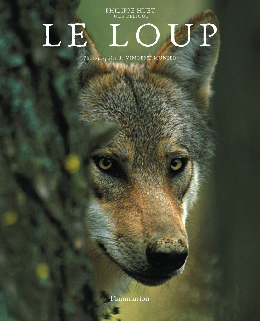 LOUP
