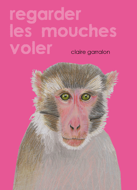 REGARDER LES MOUCHES VOLER