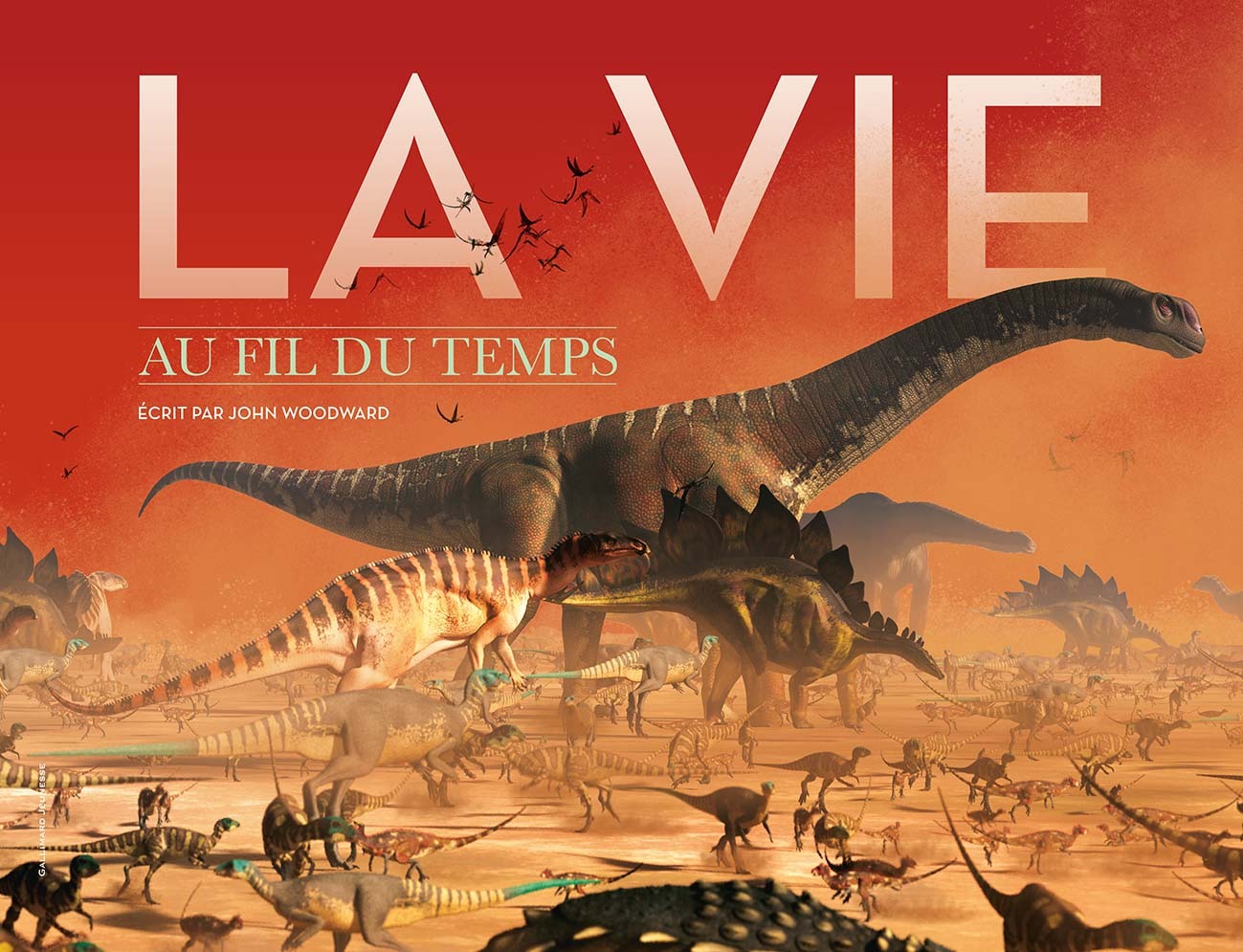 VIE AU FIL DU TEMPS