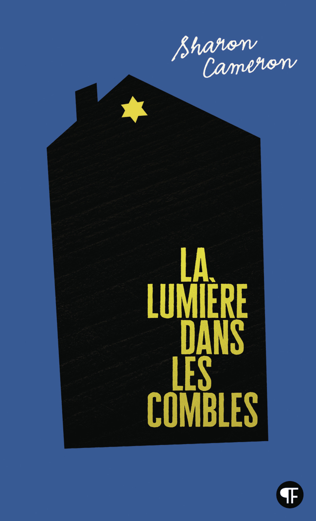 LUMIERE DANS LES COMBLES