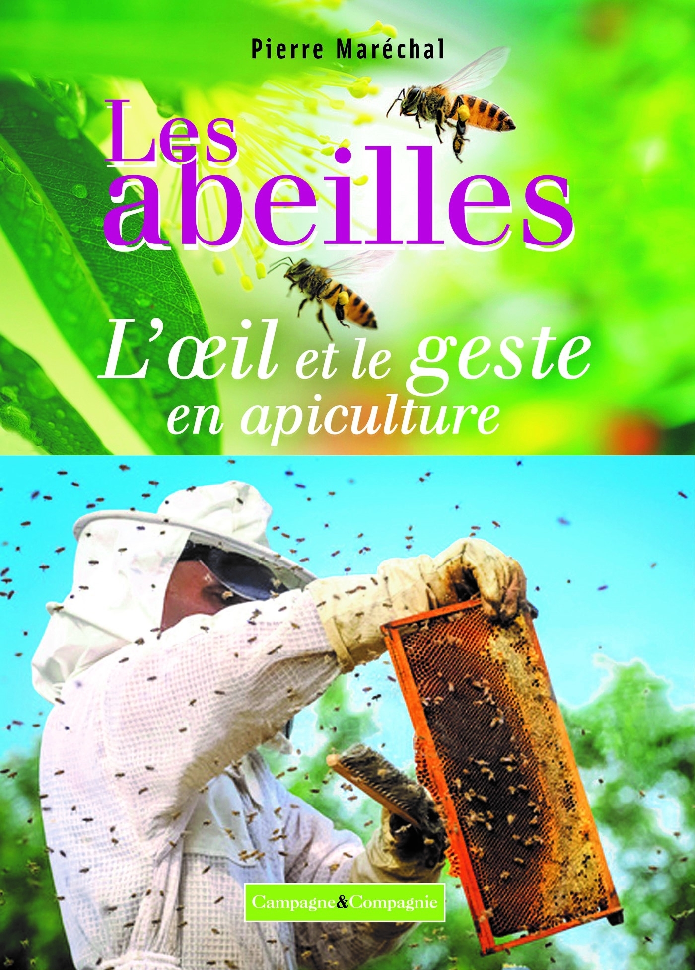 ABEILLES, L´OEIL ET LE GESTE EN APICULTURE