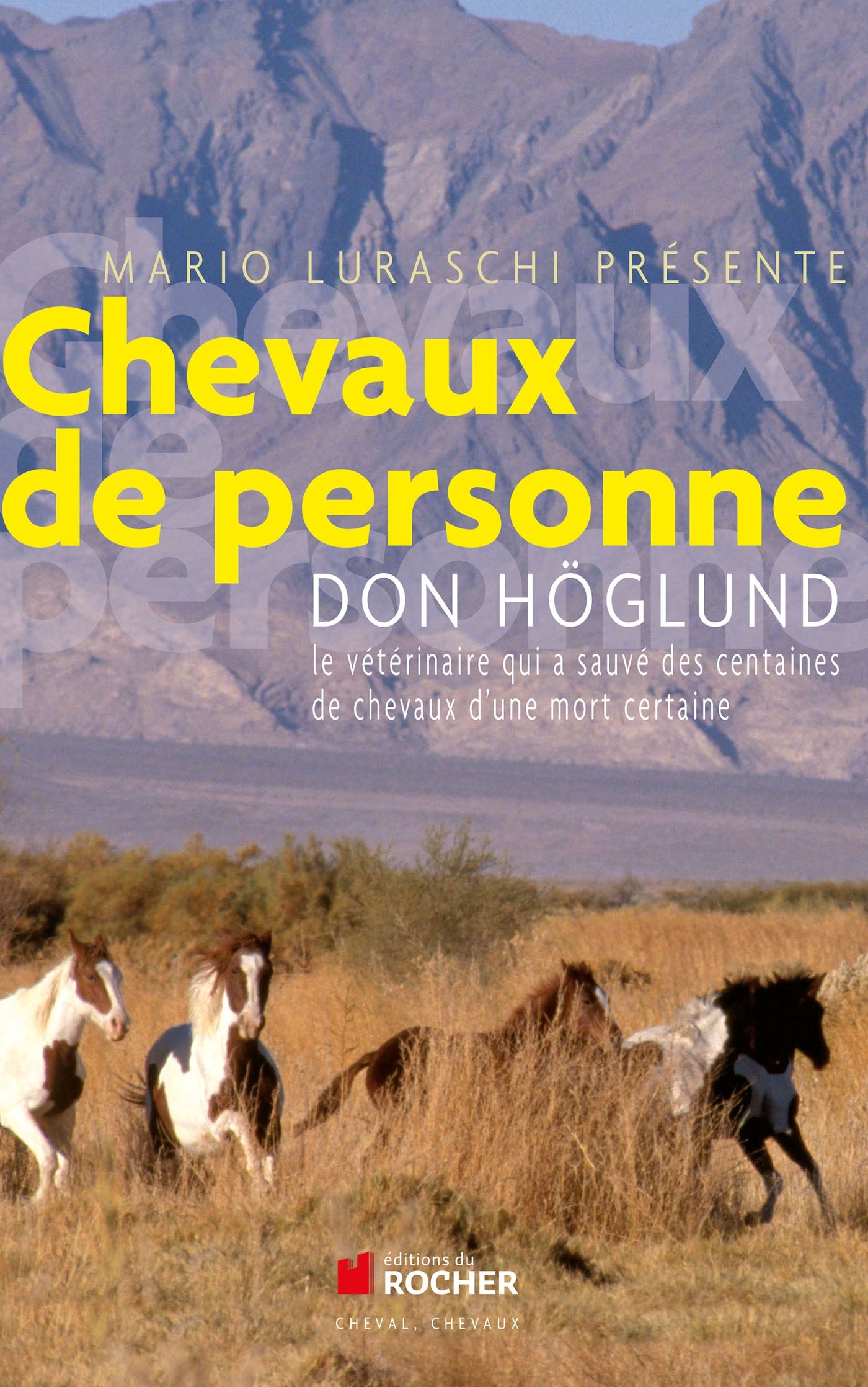 CHEVAUX DE PERSONNE
