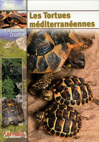 TORTUES MEDITERRANEENNES - LES MALADIES