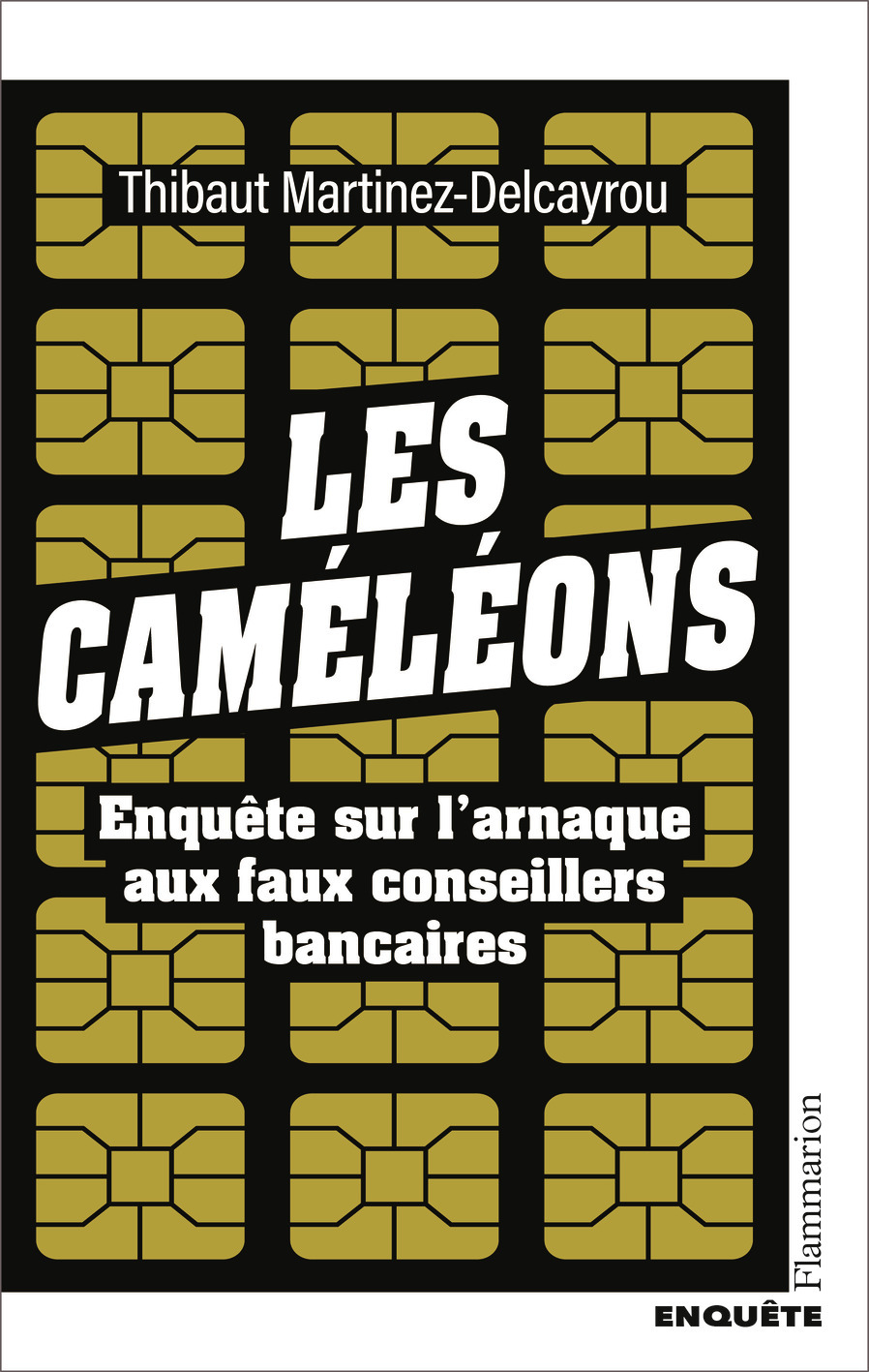CAMELEONS - ENQUETE SUR L´ARNAQUE AUX FAUX CONSEILLERS BANCAIRES
