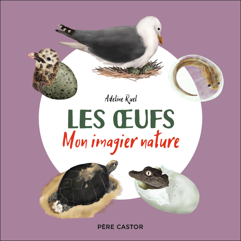 OEUFS - MON IMAGIER NATURE