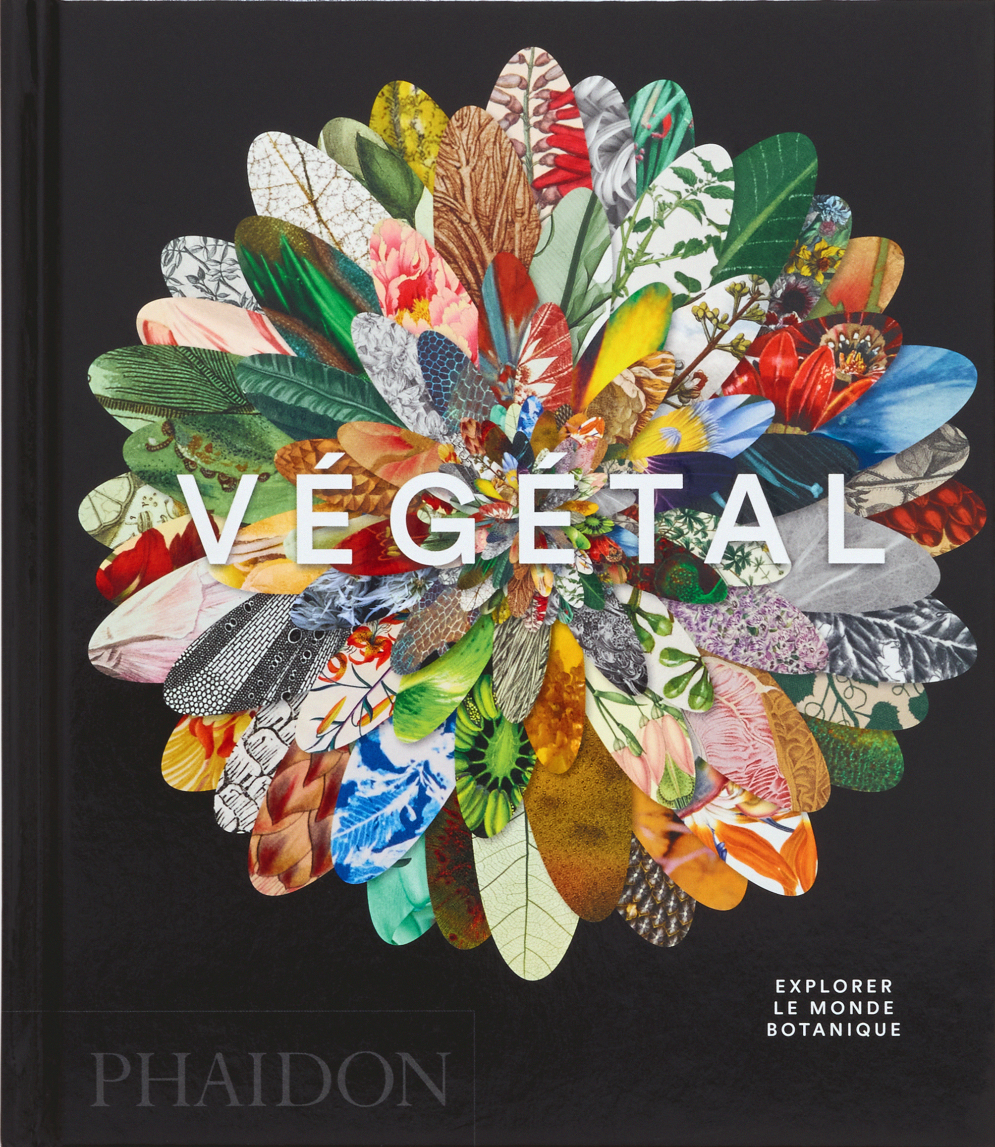 VEGETAL - EXPLORER LE MONDE BOTANIQUE - ILLUSTRATIONS, COULEUR