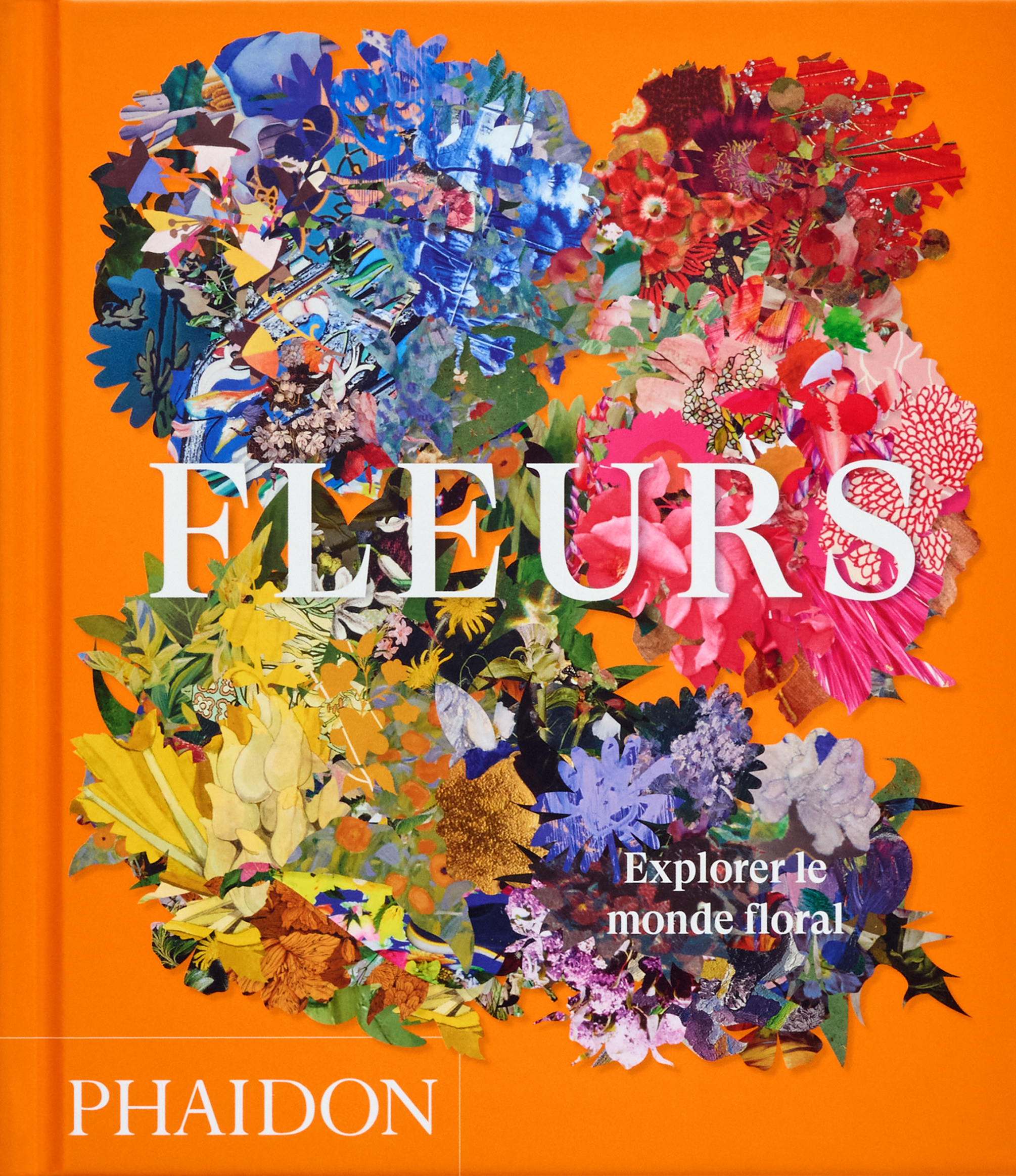 FLEURS - EXPLORER LE MONDE FLORAL - ILLUSTRATIONS, COULEUR