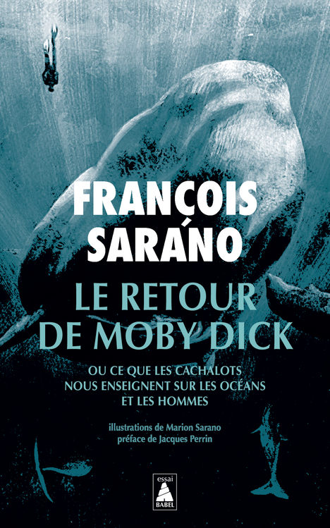 RETOUR DE MOBY DICK - OU CE QUE LES CACHALOTS NOUS ENSEIGNENT SUR LES OCEANS ET LES HOMMES