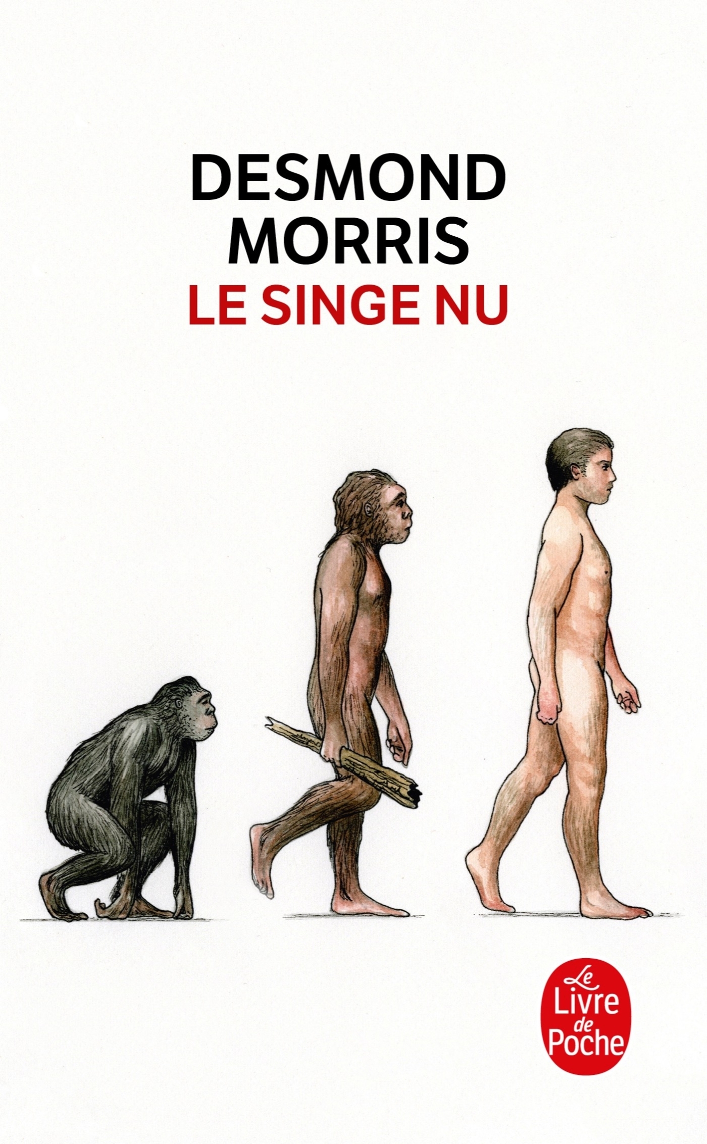 SINGE NU