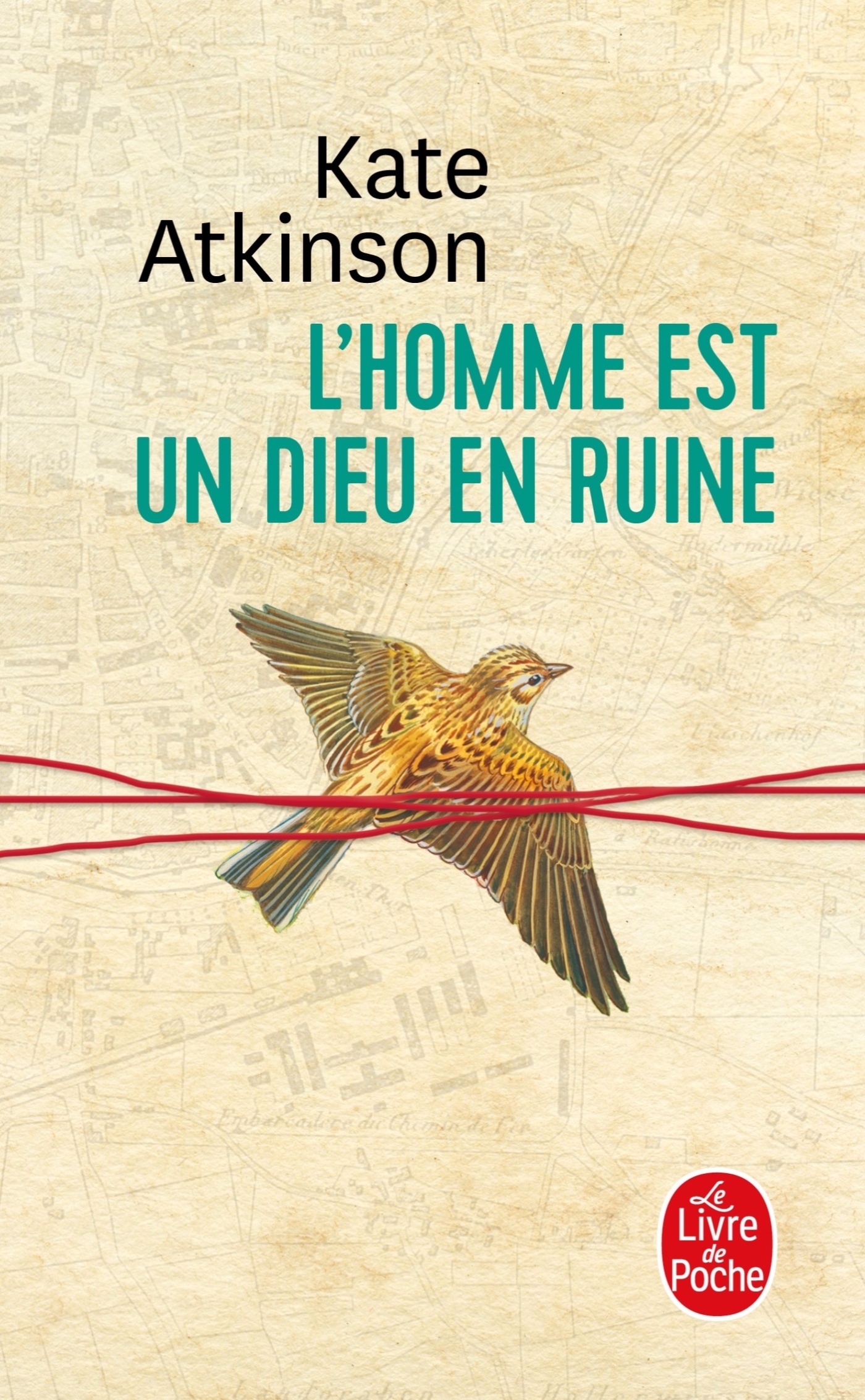 L´HOMME EST UN DIEU EN RUINE
