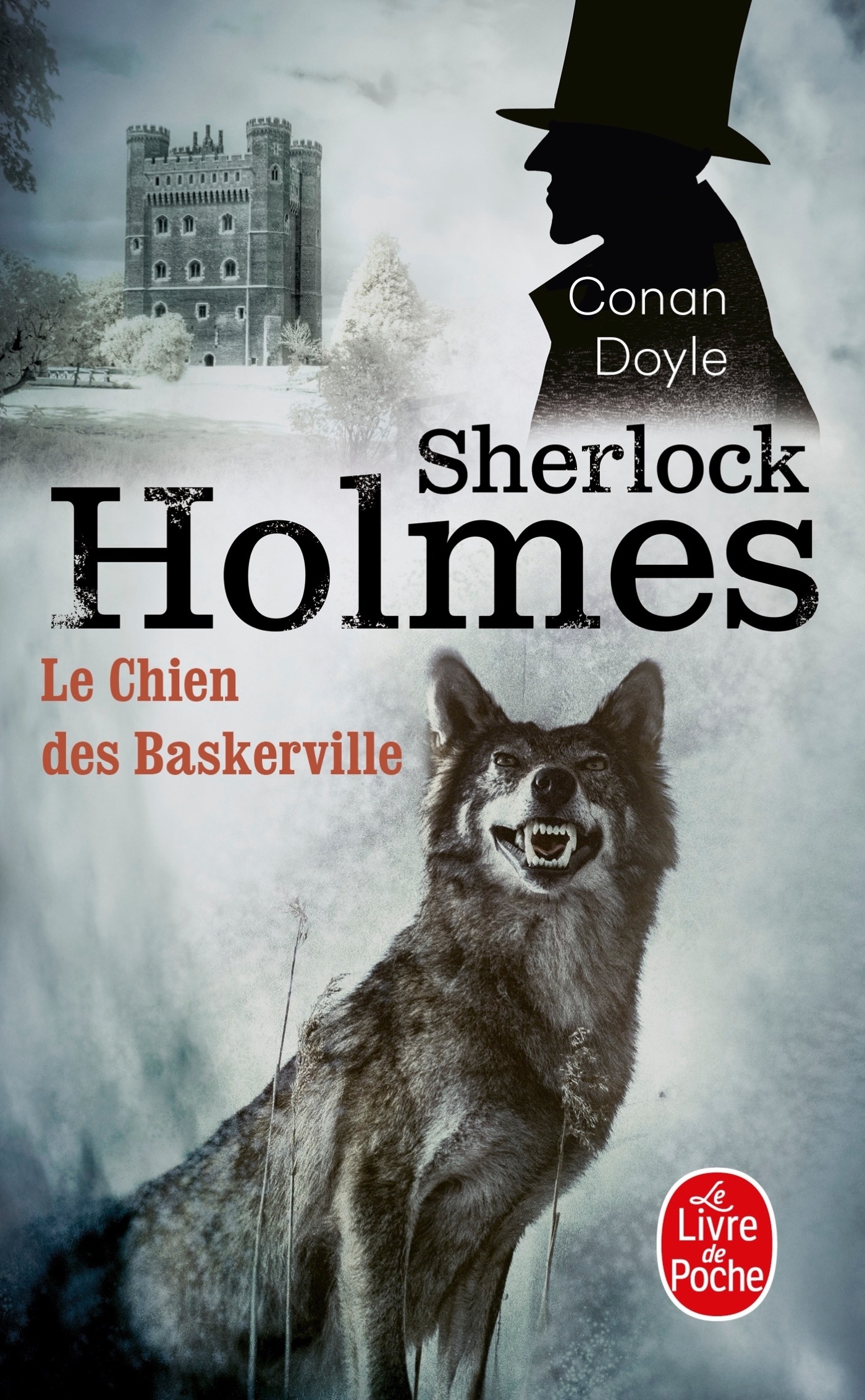 CHIEN DES BASKERVILLE