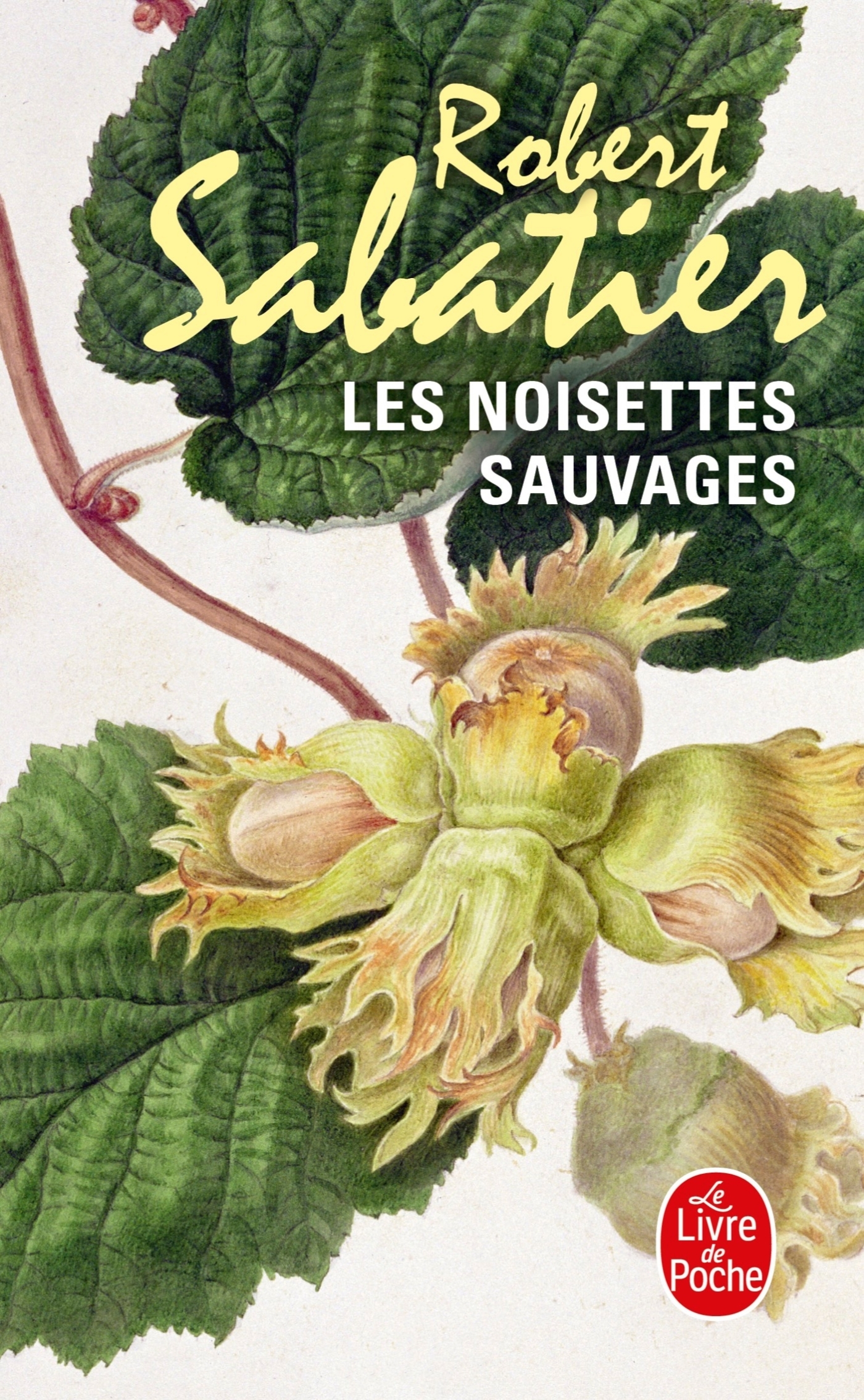 NOISETTES SAUVAGES
