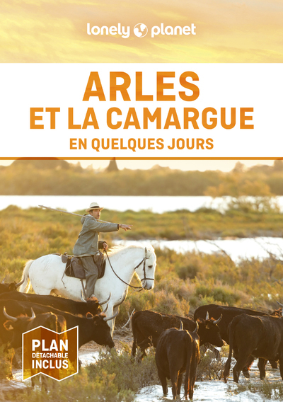 ARLES ET LA CAMARGUE EN QUELQUES JOURS 2ED