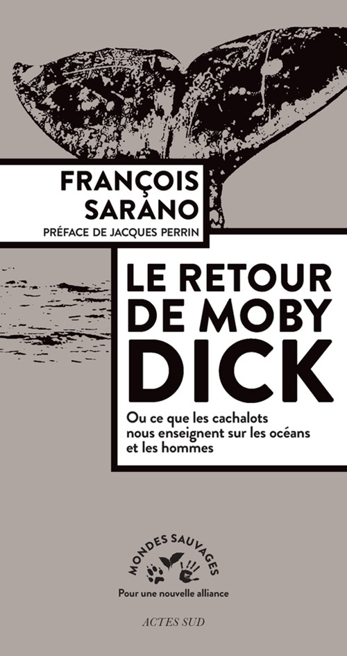 RETOUR DE MOBY DICK
