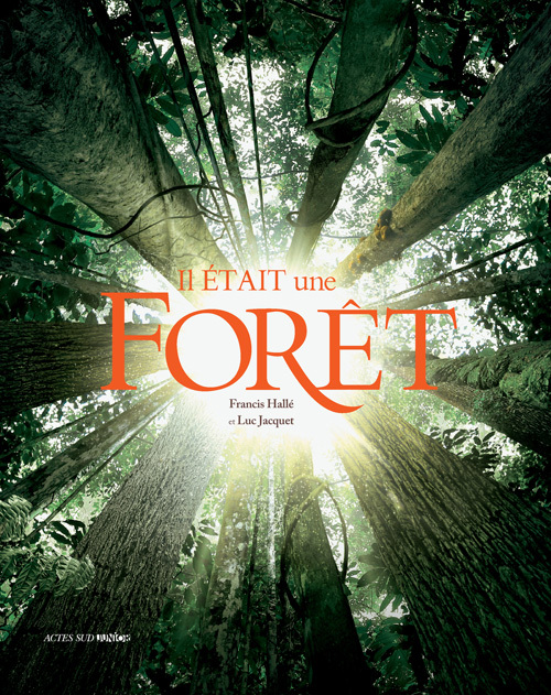 IL ETAIT UNE FORET - JUNIOR