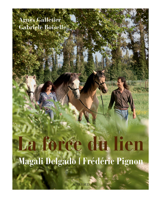 FORCE DU LIEN