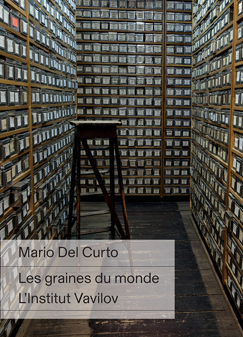 GRAINES DU MONDE