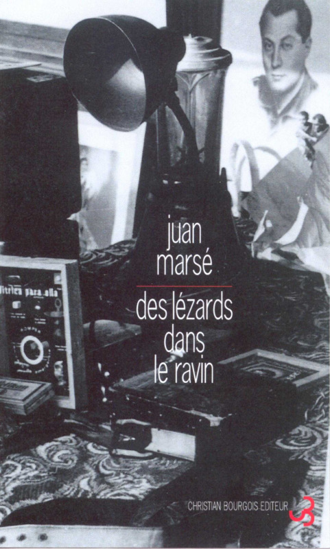LEZARDS DANS LE RAVIN