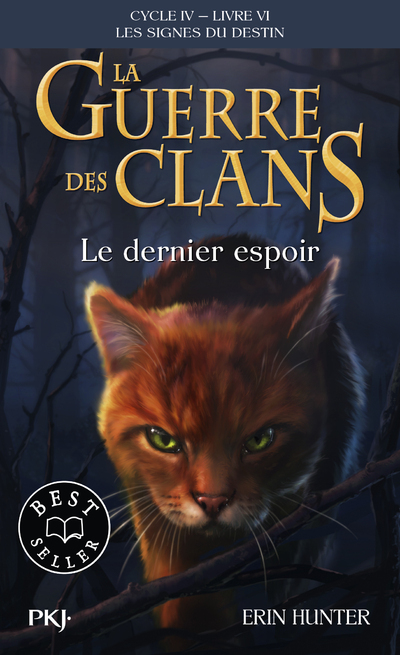 GUERRE DES CLANS, CYCLE IV, TOME 06 : LE DERNIER ESPOIR