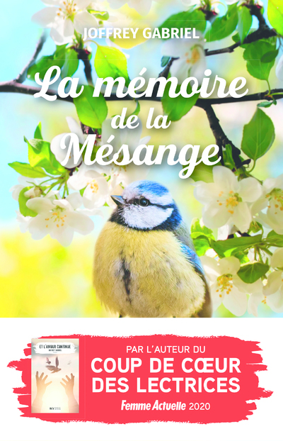 MEMOIRE DE LA MESANGE