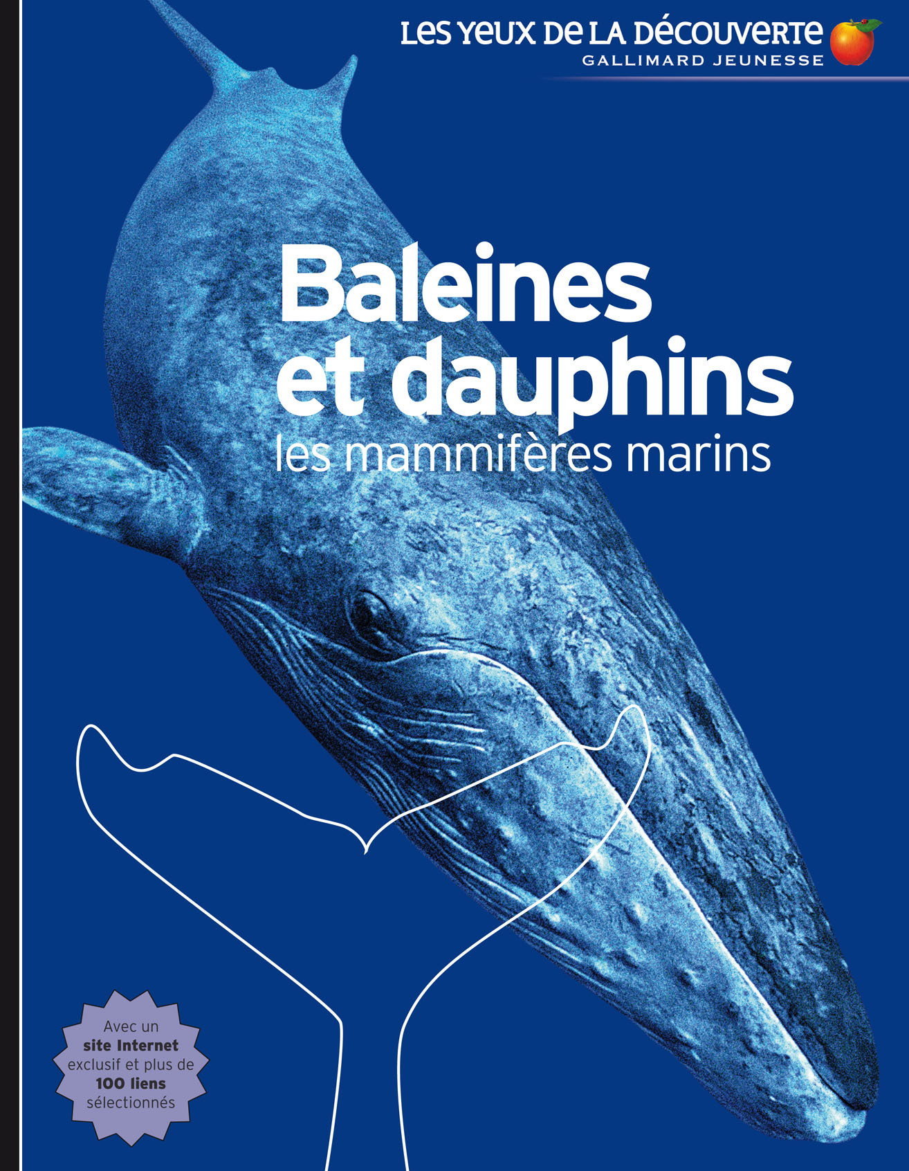BALEINES ET DAUPHINS