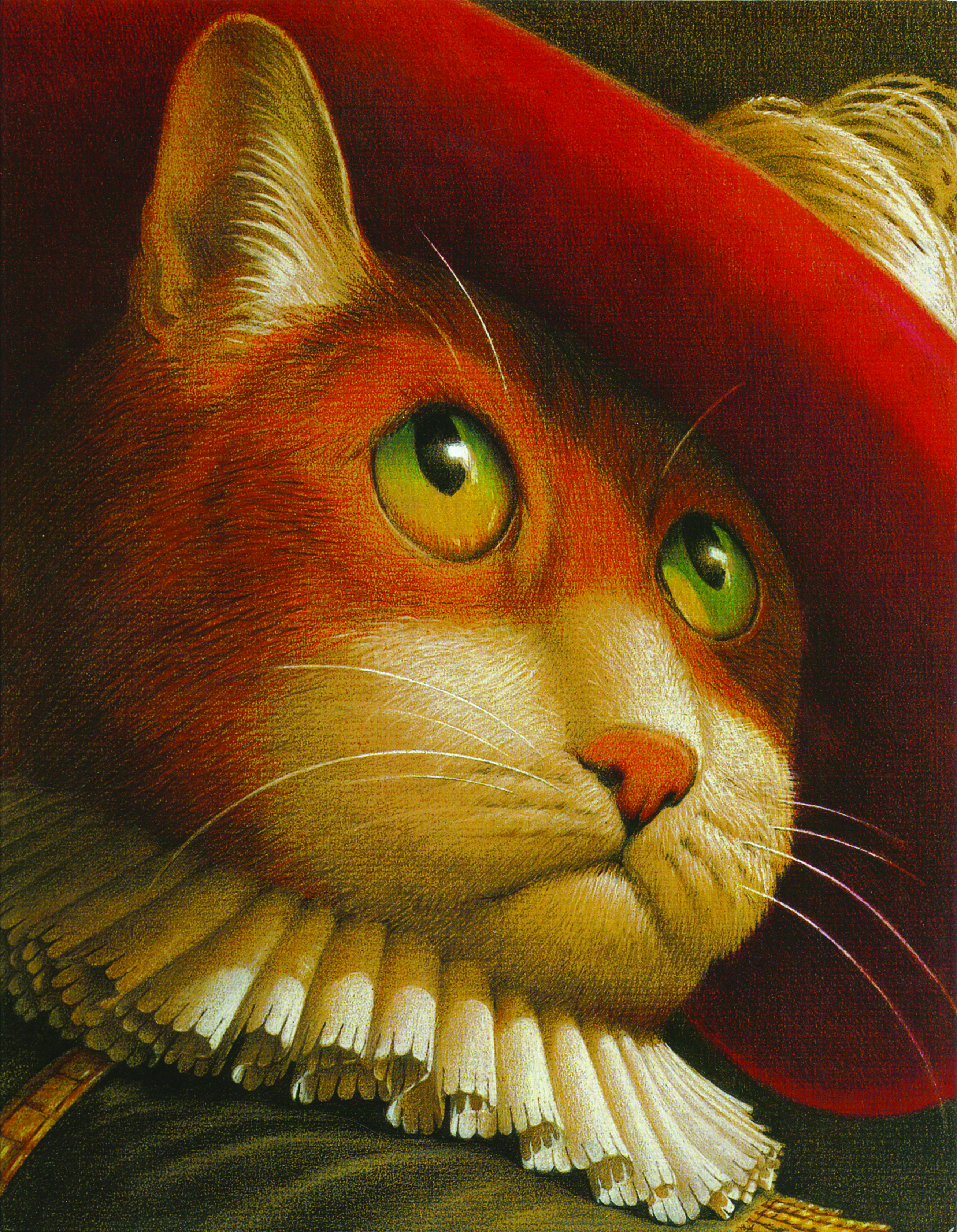 CHAT BOTTE