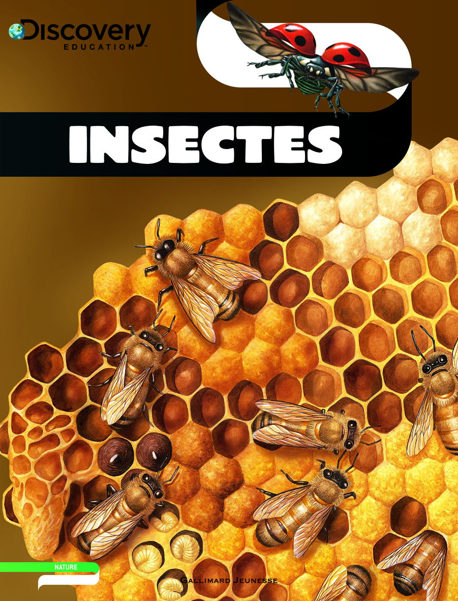 INSECTES