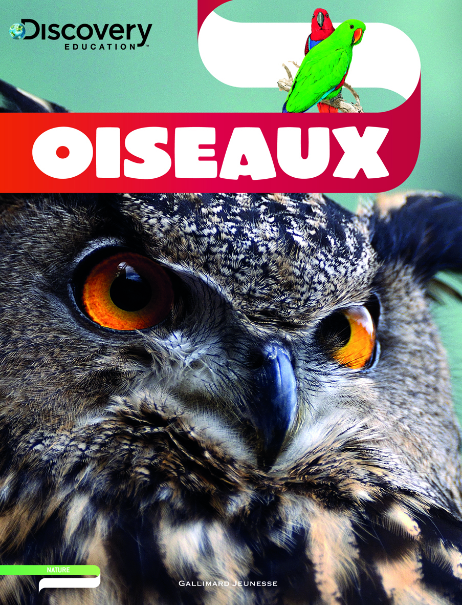OISEAUX