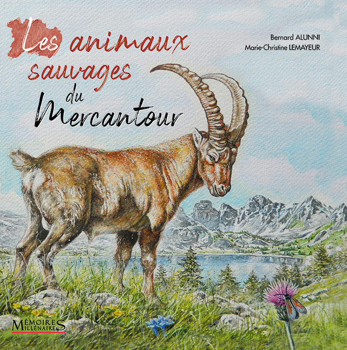 ANIMAUX SAUVAGES DU MERCANTOUR