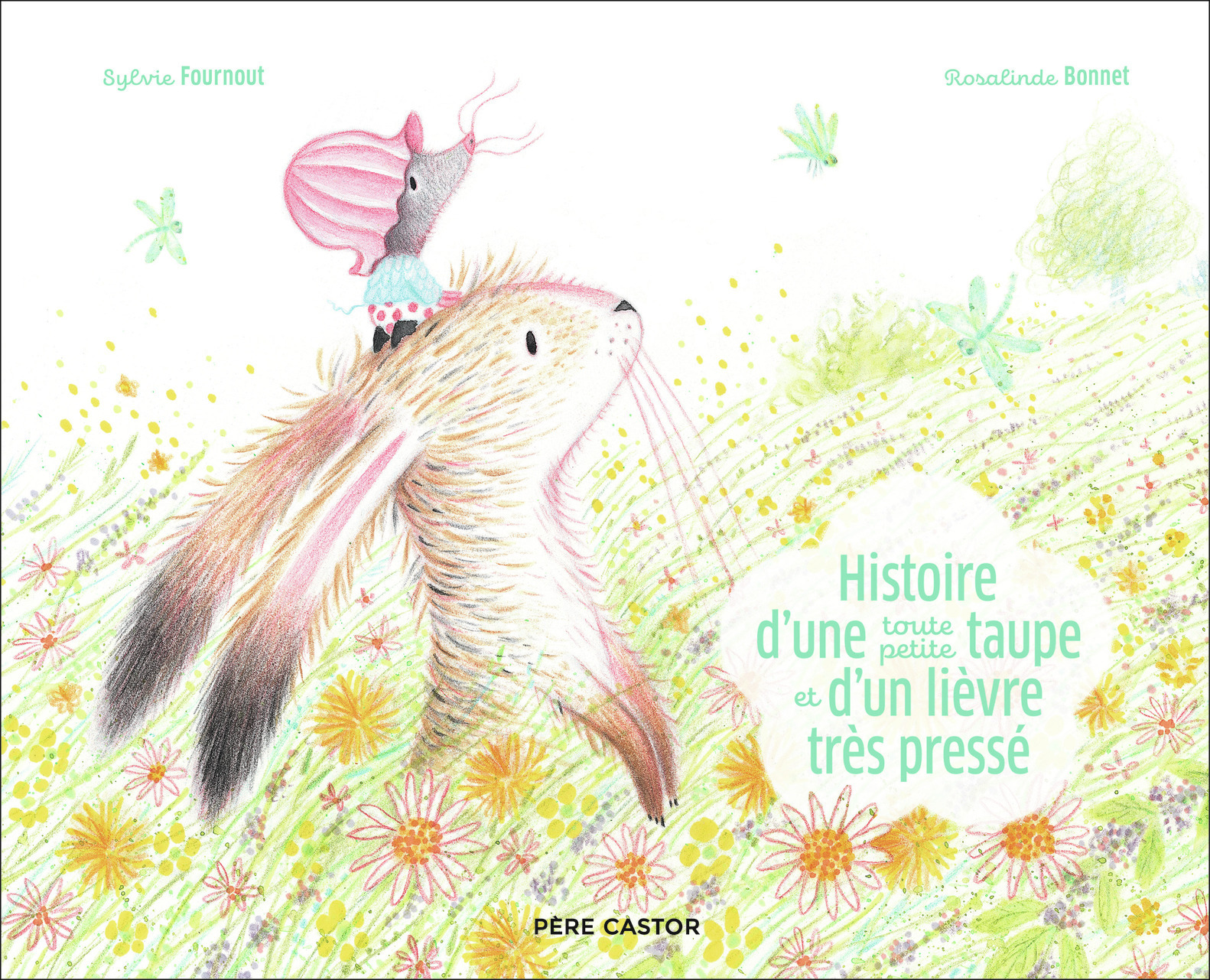 HISTOIRE D´UNE TOUTE PETITE TAUPE ET D´UN LIEVRE TRES PRESSE